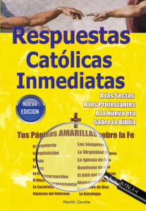 Lee más sobre el artículo Respuestas Católicas Inmediatas